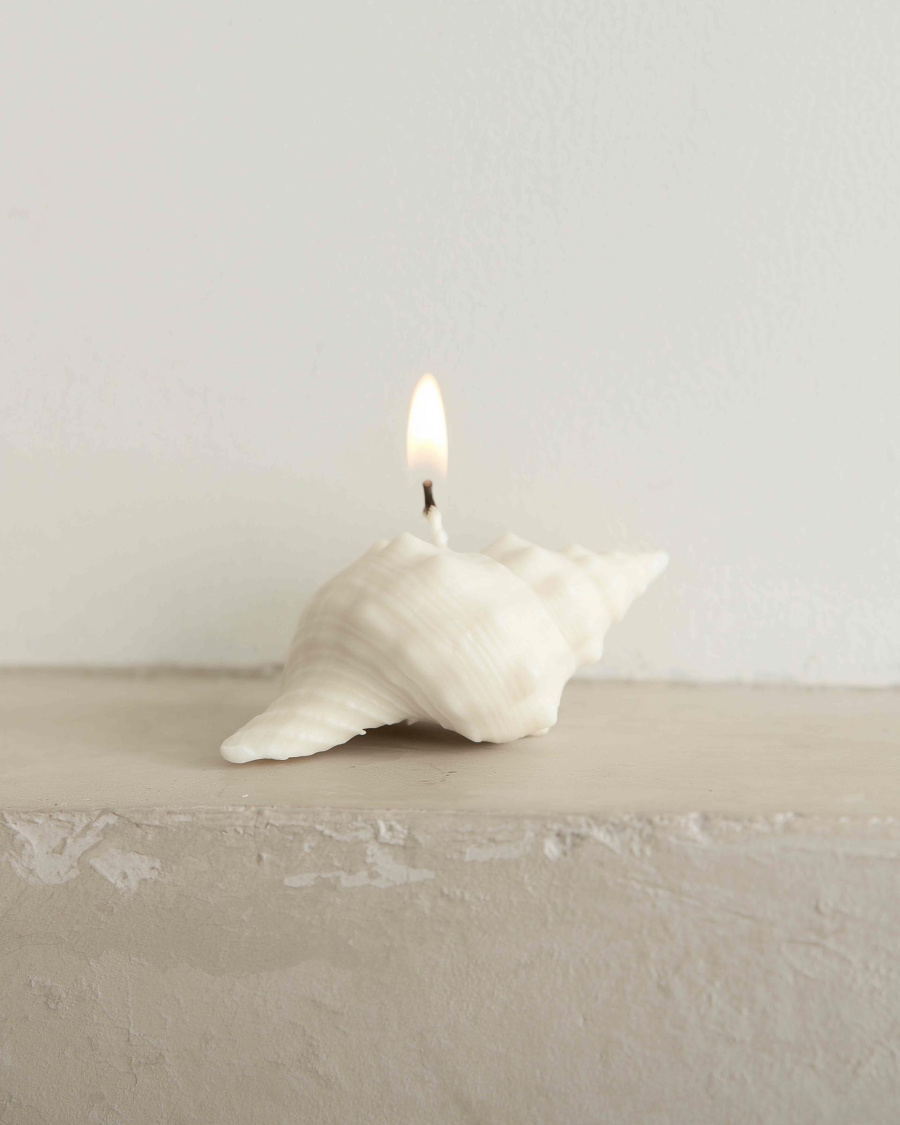 Свеча «Ракушка рог тритона», пчелиный воск, 10×5 см
Свеча «Ракушка рог тритона», пчелиный воск, 10×5 см