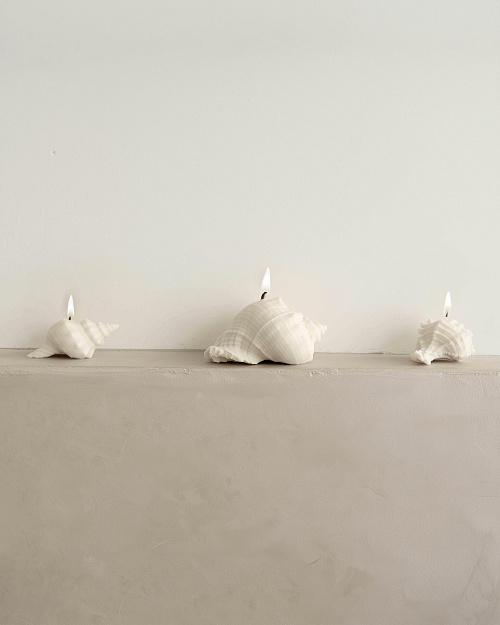 Свеча «Ракушка рапана», пчелиный воск, 10×9 см