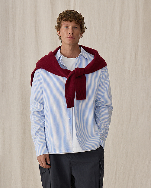 Мужская рубашка в полоску, голубой