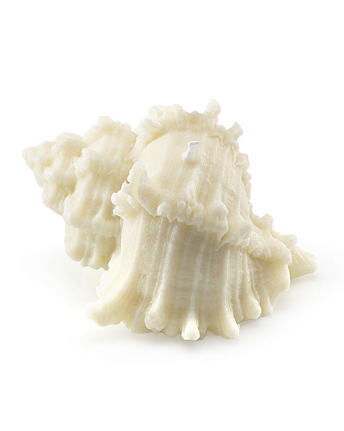 Свеча «Ракушка мурекс», пчелиный воск, 7×6 см